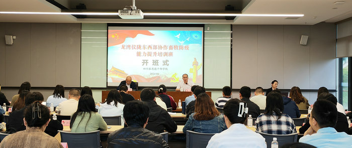 凝聚帮扶力量 赋能高质量发展
