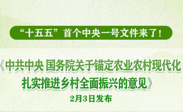 �»���Ȩ���챨ح2026������һ���ļ�����